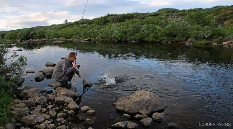 wedkarstwo skandynawia